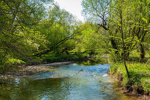 Agger und Natur in Lohmar Agger und Natur in Lohmar
